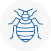 Bed Bug Extermination In Bedminster